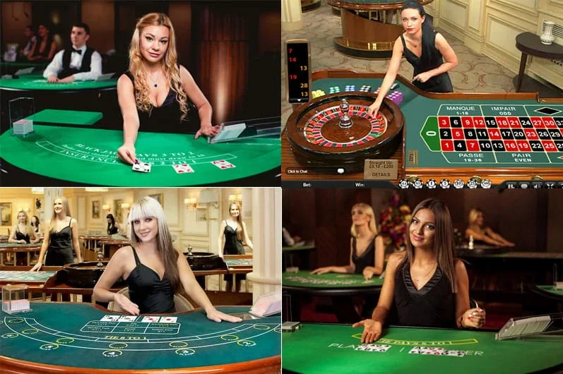 Tampilan ruang permainan kasino live PREMAN69